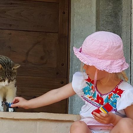 Agriturismo I Terzieri Ferentillo Kültér fotó