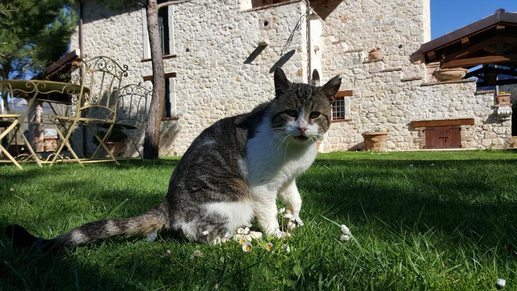 Agriturismo I Terzieri Ferentillo Kültér fotó