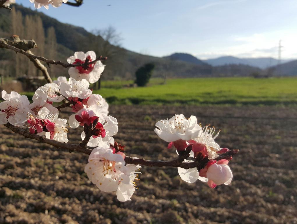 Agriturismo I Terzieri Ferentillo Kültér fotó