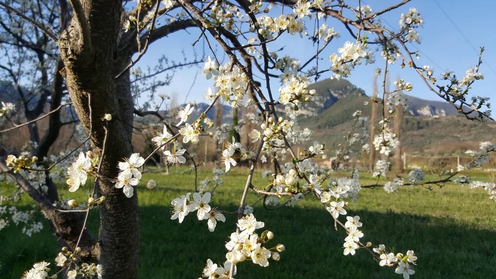 Agriturismo I Terzieri Ferentillo Kültér fotó
