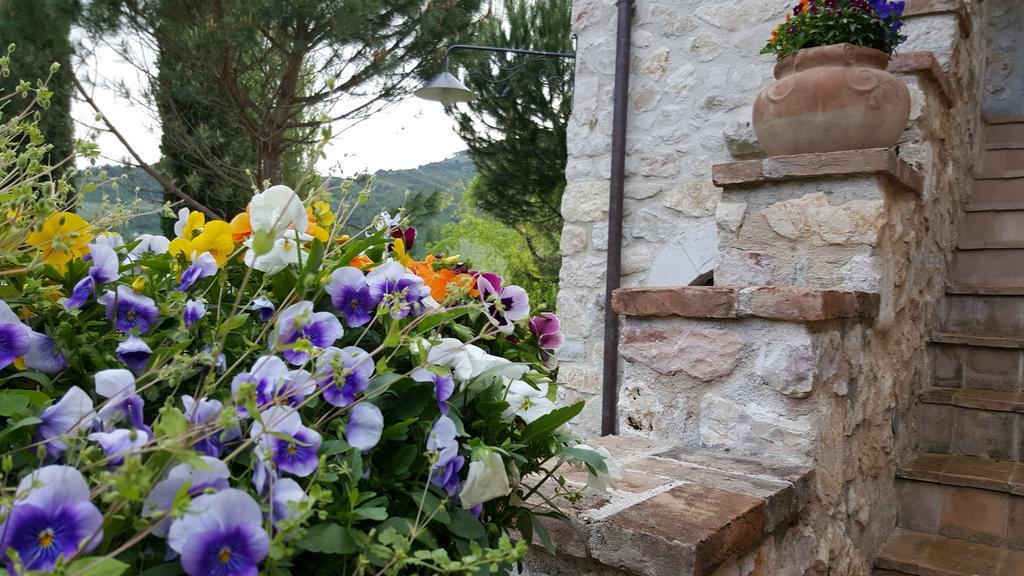 Agriturismo I Terzieri Ferentillo Kültér fotó