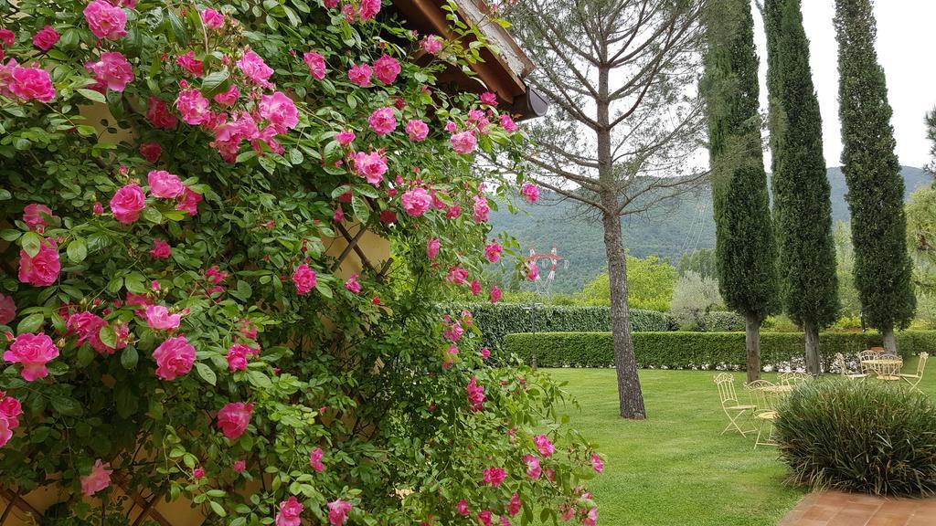 Agriturismo I Terzieri Ferentillo Kültér fotó