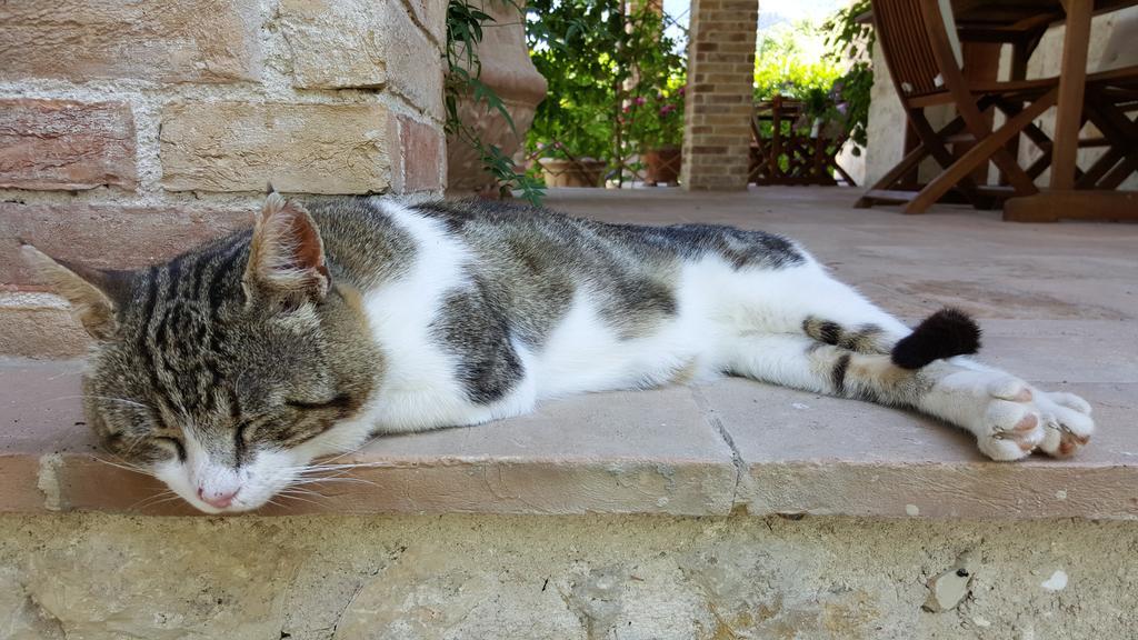Agriturismo I Terzieri Ferentillo Kültér fotó