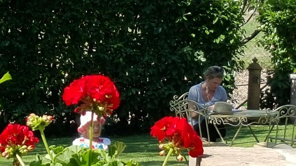Agriturismo I Terzieri Ferentillo Kültér fotó
