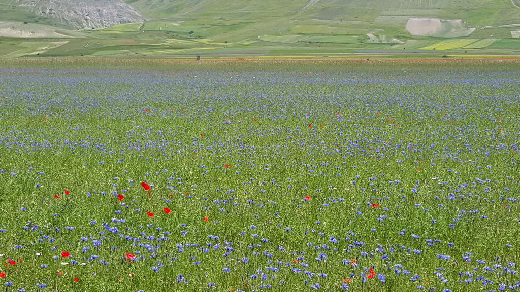 Agriturismo I Terzieri Ferentillo Kültér fotó